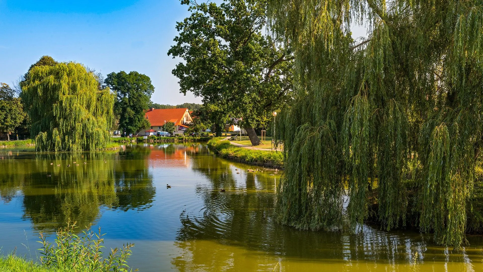 Banner Försterteich Hagenburg komprimiert
